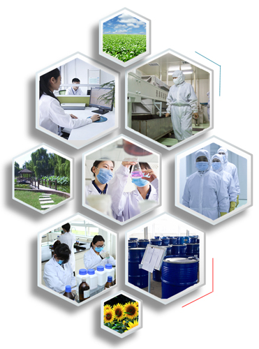 DB真人旗舰集团