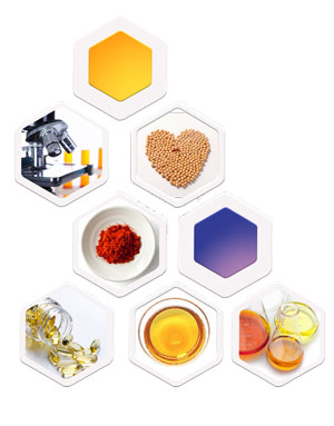 DB真人旗舰集团