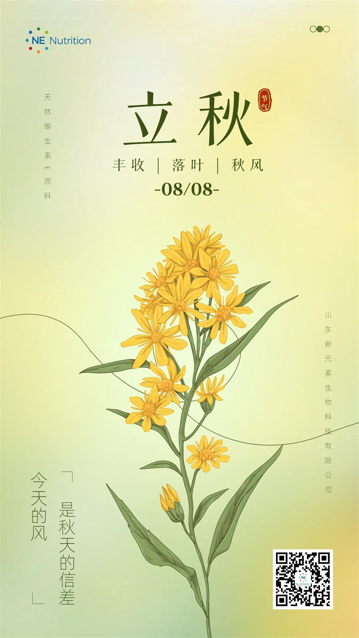 DB真人旗舰集团