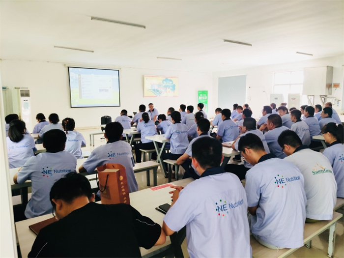 DB真人旗舰集团