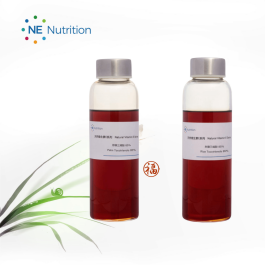 DB真人旗舰集团